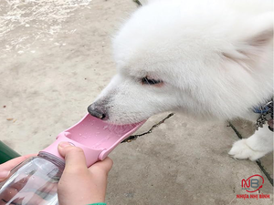 Bouteille d'eau portable pour chien et chat sans BPA 2025, bol en plastique pliable, design simple pour les voyages, utilisation en extérieur, bols et mangeoires pour animaux de compagnie - Product Image 2