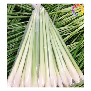 Hierba de limón congelada entera en rodajas picada, raíz de hierba de especias de hierba de limón congelada IQF, Exportación de hierba de limón congelada a granel - Product Image 3