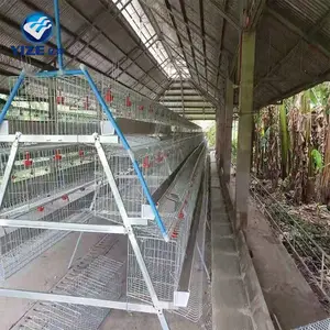 Китайский завод, производство, Лидер продаж, клетка для курицы, Гуанчжоу