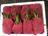 Vietnam Vers Tropisch Fruit-Rood En Geel Drakenfruit Goed Smaken Van Goede Kwaliteit (Neem Contact Op Met Lona Nguyen Op Ws: 84971629648)