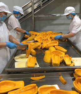 Citrouille surgelée la plus vendue, entière ou coupée, provenant du meilleur fournisseur vietnamien - Product Image 5