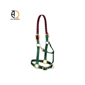 Licol pour cheval en cuir et nylon avec couronne équestre - Product Image 6