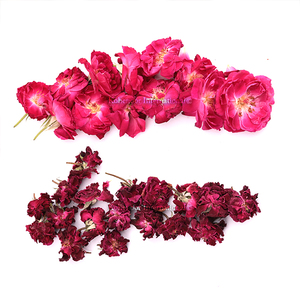 <b>Dried</b> Red Rose Flower (Purity 99% min 3 Year Shelf Life) | for Organic Lip Balm Making - Product Image 2