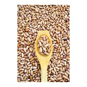 Frijoles Pinto Versátiles Utilizados en Dietas Vegetarianas y a Base de Plantas - Product Image 6