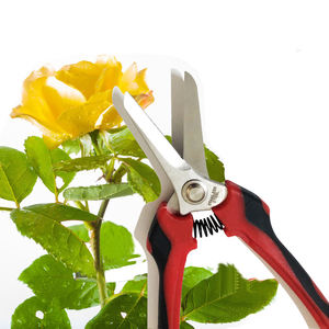 Vente en gros de ciseaux sk5, outils à main, agricoles de jardin - Product Image 4