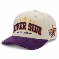 Casquette de baseball en daim personnalisée à 6 panneaux, brodée, style vintage, visière contrastante, réglable, décontractée, pour sports de plein air, unisexe