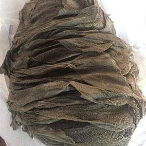 Halal <b>Beef</b> Book Tripe Omasum Fully Cleaned Frozen Wholesale Supplier Export Standard - Product Image 4