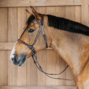 Brida para Caballo Occidental de Buena Calidad y Duradera, Cuero PU/Nylon, Hebillas de Acero Inoxidable, Acolchado Suave, Colores Personalizables - Product Image 2