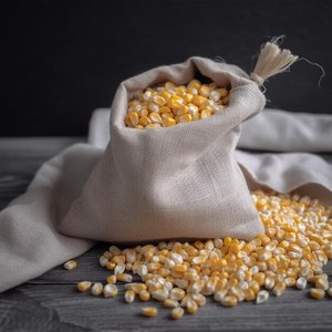 Vente en vrac de maïs blanc et jaune en vente en Tanzanie - Product Image 4