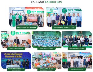 ชุดบรรจุภัณฑ์ซิป100กรัม5กล่อง OEM ODM องุ่นทะเลอบแห้งสไตล์โภชนาการขนมสาหร่ายเวียดนาม - Product Image 4