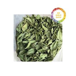 Feuilles de goyave en vrac, séchées au soleil et triées pour les acheteurs en gros à la recherche de matériaux cohérents et d'une approvisionnement fiable - Product Image 2