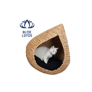The most well-liked vintage pet house made of water hyacinth on the Vietnamese wholesale market will be owned by Blue Lotus Farm - Product Image 1