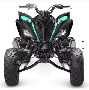 Disponible - Offre 2024 Yamahas (Raptors) 700R SE Nouveaux Vélos - Product Image 1