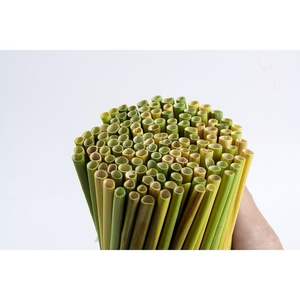 Eco2go Vietnam's Healthy Biodegradable Grass Straw Reliable <b>Bar</b> <b>Accessories</b> <b>for</b> Every <b>Home</b> - Product Image 6