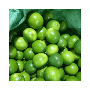 Vietnam citron vert frais sans pépins/citron frais/citron sans pépins nouvelle culture 2024 origine Vietnam de haute qualité et bon prix à partir de 99GD - Product Image 2