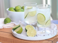 POUDRE DE JUS DE LIME PURE-la saveur acidulée de la chaux fraîche à tout moment de l'année avec des jus frais pour le marché de Dubaï