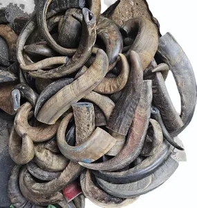 เขาควายโบราณเครื่องใช้บนโต๊ะอาหารงานฝีมืออาเกตธรรมชาติจากอินเดียเขาวัวขัดเงา - Product Image 1