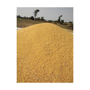 Mejor venta de calidad agrícola Corp producto maíz grano de maíz Natural puro de maíz amarillo maíz - Product Image 2