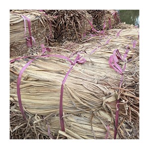 Balles séchées de jacinthe d'eau naturelle matière première en gros prix le moins cher exportation de l'usine du Vietnam - Product Image 1