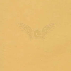 Pantalones cortos informales para hombre, ropa deportiva, en línea, nuevo diseño - Product Image 4