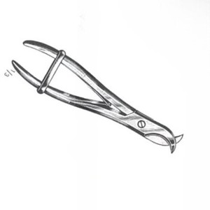 Aplicador de instrumentos veterinarios de 17cm de acero inoxidable Manual personalizado de Venta caliente para equipo de sujeción - Product Image 4