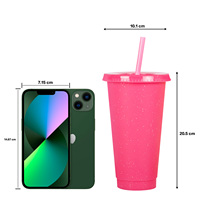 Logo personnalisé été nouveau mélange de couleurs 24oz tasses à froid fête coloré recyclable tasse avec paille et couvercle bouteille d'eau en plastique