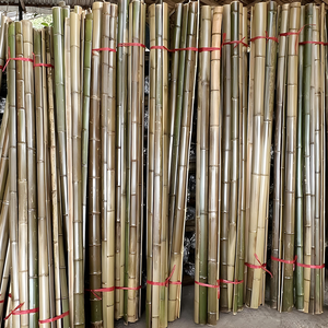 Postes grandes de bambú, venta al por mayor de Vietnam, postes de bambú natural para la construcción y fabricación de muebles-BP007 - Product Image 4