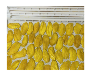 Mango seco Premium de Vietnam, bocadillo dulce natural perfecto para mezclas de frutas y exportación a todo el mundo - Product Image 1
