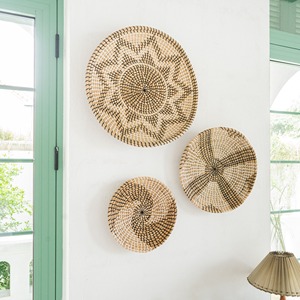 Decoración de pared de algas marinas, arte natural de algas marinas para colgar en la pared, adorno para sala de estar al por mayor - Product Image 5