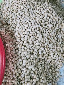 Offres Spéciales bonne nourriture, noix/Sachi Inchi du Vietnam à bas prix - Product Image 4