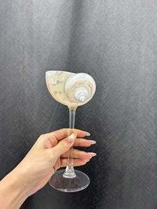 Verre de coquillage artisanal pour la décoration intérieure et les boutiques de cadeaux - Product Image 2