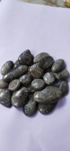 Coral Fossilizado Negro Natural de Primera Calidad, en Diversas Formas, para Joyería, Gemas Alba, Buen Precio - Product Image 2