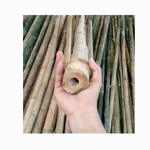Poste de bambú de alta calidad para protectores de árboles de Vietnam: bastones de bambú rectos secos naturales para construcción de grandes tamaños - Product Image 3