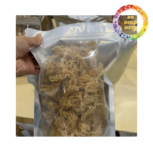 สาหร่ายทะเลแห้งธรรมชาติสำหรับทำเยลลี่และผลิตคาร์ราจีแนน - Product Image 1