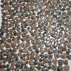 Cabujones de chiastolita de grado AAA, piedras preciosas de jaspe de buena calidad en formas de mezcla de piedra Natural verde, piedras preciosas sueltas al por mayor - Product Image 3