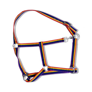 Vente en gros de licous en nylon avec corde de plomb assortie toutes les couleurs avec raccords SS gravure sur sangle vente en gros - Product Image 5