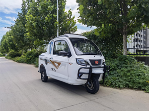 <span class=keywords><strong>Motociclo</strong></span> <span class=keywords><strong>a</strong></span> Tre <span class=keywords><strong>Ruote</strong></span> da 250cc <span class=keywords><strong>a</strong></span> Benzina Economico con Cabina per Adulti, Colori Personalizzabili, Camioncino Pickup, Moto Sportiva - Product Image 2