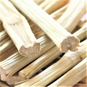 CANNE À SUCRE CHIEN ET ANIMAUX JOUET À CHEW/DÉRIVÉ DE PLANTES/SANS ADDITIFS/SOURCE PROPRE - Product Image 1