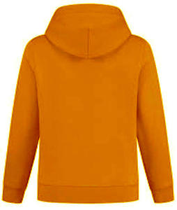 Sudadera con capucha para mujer, de colección, chaqueta de lana, sudadera, DaisyApparel, India, OEM - Product Image 3
