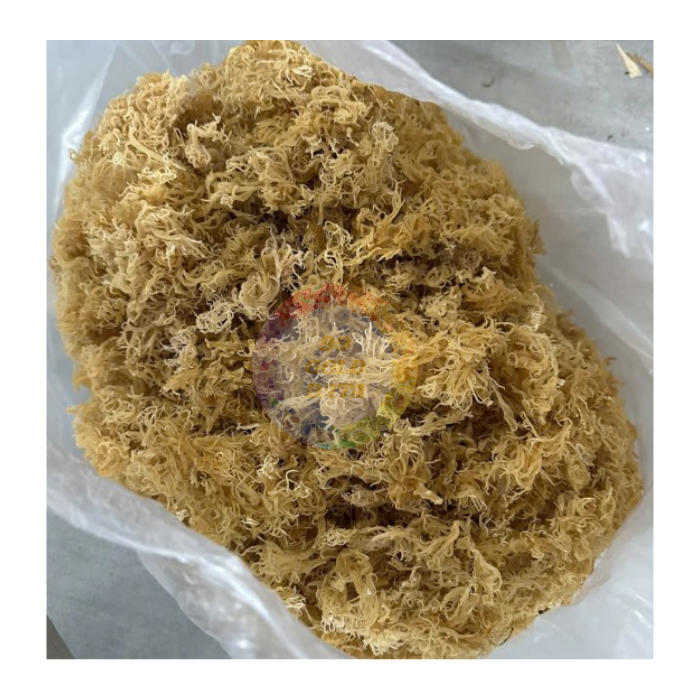 Bulk Supplier of Eucheuma Cottonii Seaweed - Export-Quality, Sun-Dried, and Chemical-Free for Various Applications