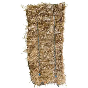 Kualitas Premium grosir pemasok Barley Straw Bales untuk pakan hewan untuk dijual
