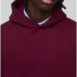 Sweats à capuche pour hommes personnalisés 100% coton Sweats à capuche vierges lourds Fabricant de vêtements pour hommes 2025 - Product Image 6