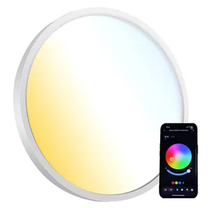 Ultra Thin Indoor Lighting Modern Round Surface Mount 18w 24w 30w Led Ceiling Light For Home Office Living Room Bedroom