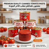 Pâte de tomate en conserve de qualité supérieure 2,2 kg 28-30% Brix Doublement concentrée 100% pure OEM Marque privée Directement de l'usine