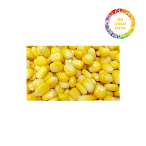 Maïs congelé IQF-Pack en vrac pour applications industrielles rentable et de haute qualité - Product Image 4