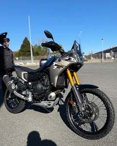 Vente parfaite 2025 Tenccere ont atterri aux États-Unis - Product Image 3