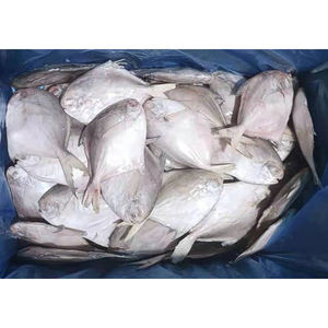 Poisson Pomfret blanc France à vendre en vrac IQF poisson Pomfret en <span class=keywords><strong>argent</strong></span> chinois congelé 300-400gr - Product Image 5
