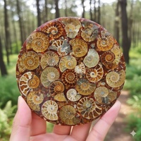 Plaque de Fossile d'Ammonite de Haute Qualité de 11 cm, Pierre Naturelle Polie, Sculpture en Cristal pour Décoration Moderne de la Maison, Ornement de Bureau, Vente en Gros