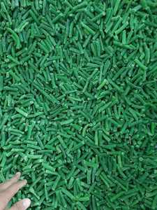 HARICOTS CONGELÉS DE HAUTE QUALITÉ DU VIETNAM avec BON PRIX pour L'EXPORTATION EN VRAC - Product Image 5