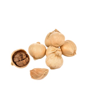 Cardamomo Blanco Orgánico Indonesio de Alta Calidad, Producto Agrícola Premium, Precios Competitivos, Proveedor Mayorista para Pedidos al por Mayor - Product Image 2